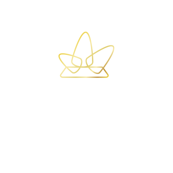 Fürstsingers RELOADED e.V.